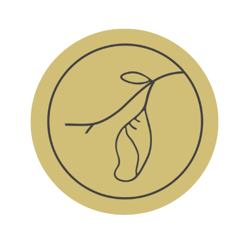 Targeta Bonus 8h